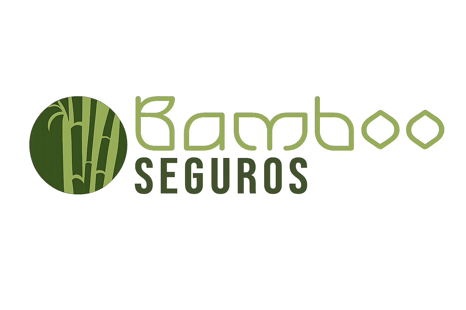 Bamboo Seguros
